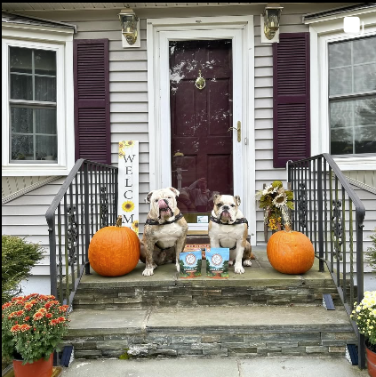 happytails canine wellness images