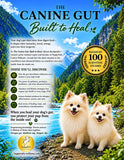 Load image into Gallery viewer, THE CANINE GUT: Built to Heal. The Ultimate Guide to Dog Gut Health, the Canine Microbiome, Advanced Biotics, and Whole-Body Healing That Turns Your Dog's Gut into an Illness-Fighting Superpower