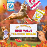 Load image into Gallery viewer, Jazzy Jerky® Treats: Chicken &amp; Salmon, Prebiotics, Omega 3s &amp; 6s (Two-10 oz. Bags)