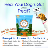 Load image into Gallery viewer, Journey Up Treats, Pumpkin Power Up: Beef, Pumpkin, Carrots, Prebiotics, Omega 3s &amp; 6s (6 oz.)