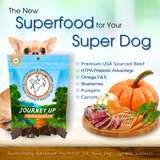 Load image into Gallery viewer, Journey Up Treats, Pumpkin Power Up: Beef, Pumpkin, Carrots, Prebiotics, Omega 3s &amp; 6s (6 oz.)