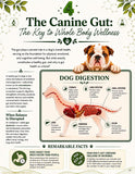 Load image into Gallery viewer, THE CANINE GUT: Built to Heal. The Ultimate Guide to Dog Gut Health, the Canine Microbiome, Advanced Biotics, and Whole-Body Healing That Turns Your Dog's Gut into an Illness-Fighting Superpower