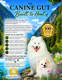 Laden Sie das Bild in den Galerie-Viewer, THE CANINE GUT: Built to Heal. The Ultimate Guide to Dog Gut Health, the Canine Microbiome, Advanced Biotics, and Whole-Body Healing That Turns Your Dog's Gut into an Illness-Fighting Superpower